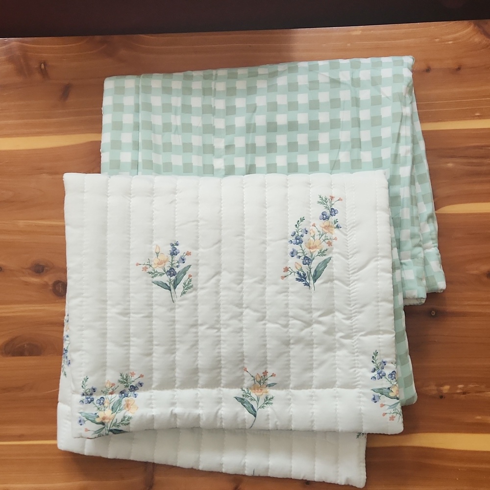 Set of 2 Bedsüre Pillow Sham covers